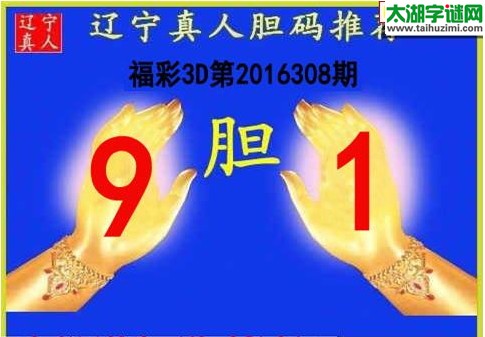 辽宁真人胆码图16308期