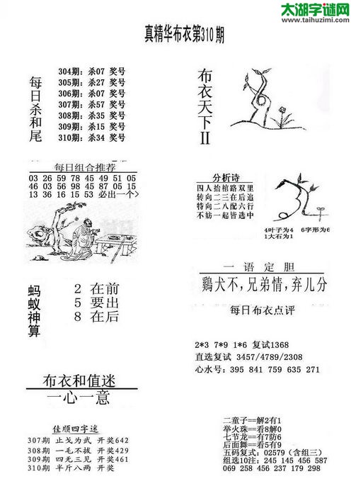3d布衣天下图谜2016310期
