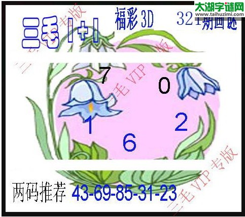 3d321期：3d三毛图库汇总