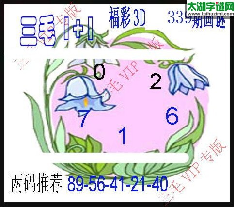 3d339期：3d三毛图库汇总