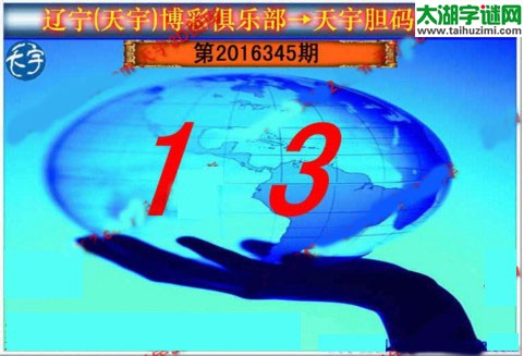 天宇图谜第2016345期胆码图