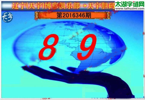 天宇图谜第2016346期胆码图