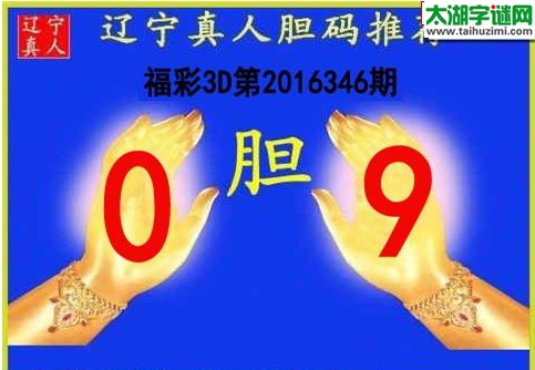 辽宁真人胆码图16346期