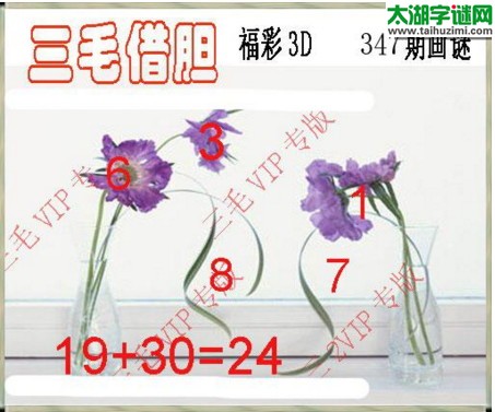 3d347期：3d三毛图库汇总