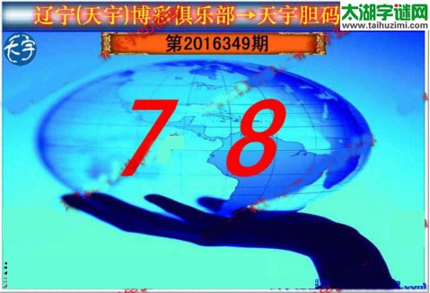 天宇图谜第2016349期胆码图