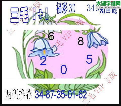 3d349期：3d三毛图库汇总