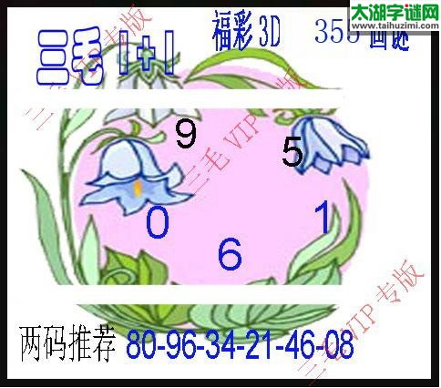 3d355期：3d三毛图库汇总