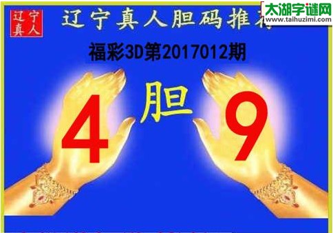 辽宁真人胆码图17012期