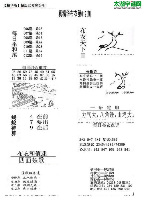 3d布衣天下图谜2017012期