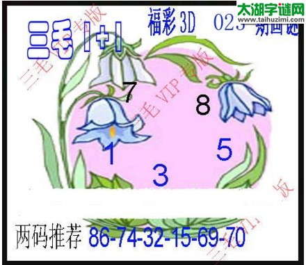 福彩3d三毛图库-17023期