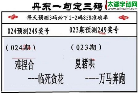 福彩3d第17024期山东真诀