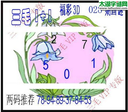 福彩3d三毛图库-17028期