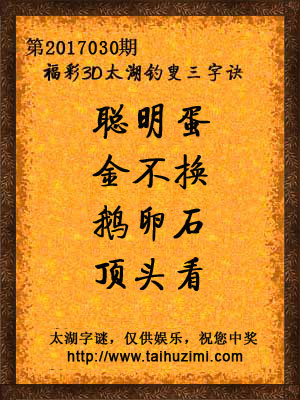 3d030期太湖字谜：聪明蛋，金不换，鹅卵石，顶头看