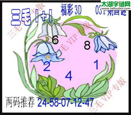 福彩3d三毛图库-17031期