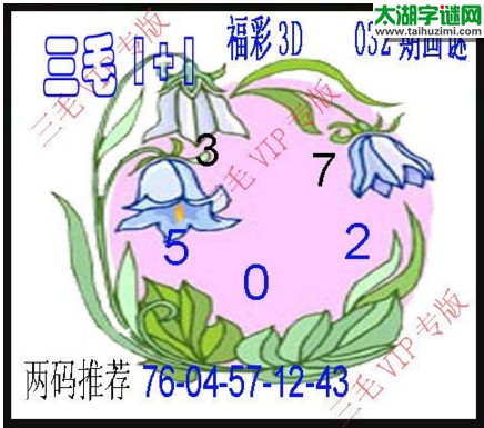 福彩3d三毛图库-17032期