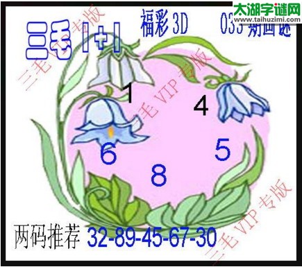 福彩3d三毛图库-17033期