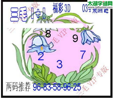 福彩3d三毛图库-17034期