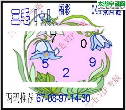 福彩3d三毛图库-17044期