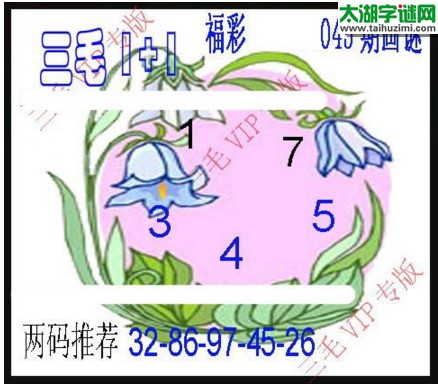 福彩3d三毛图库-17045期