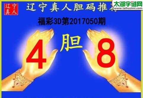 辽宁真人胆码图17050期