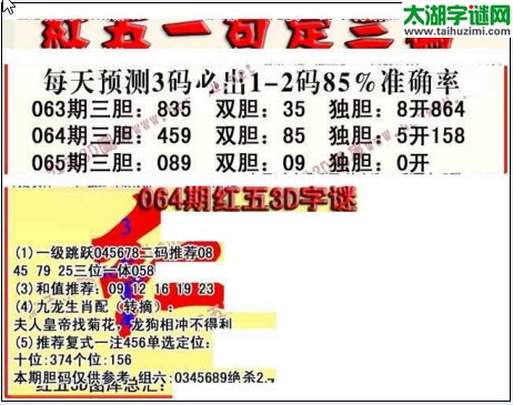 福彩3d红五藏宝图17065期