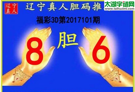 辽宁真人胆码图17101期