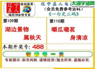 辽宁真人一句定三码-2017110期