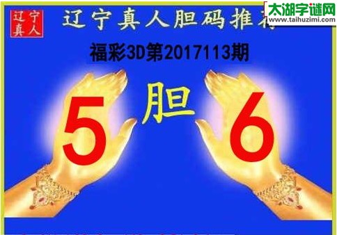辽宁真人胆码图17113期