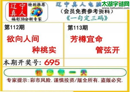 辽宁真人一句定三码-2017113期