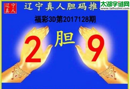 辽宁真人胆码图17128期