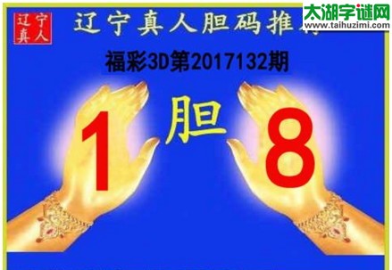 辽宁真人胆码图17132期