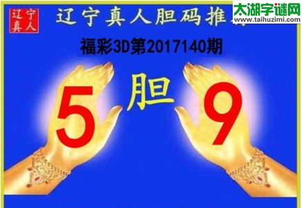 辽宁真人胆码图17140期