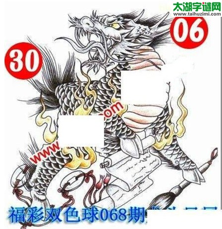 双色球2017068期：龙头凤尾图谜