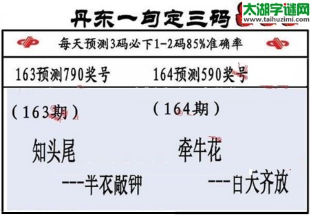 3d第2017164期丹东一句定三码