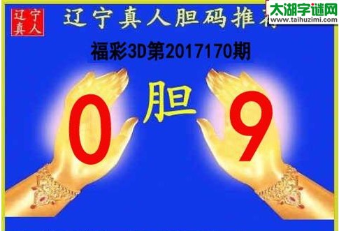 辽宁真人胆码图17170期