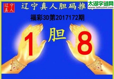 辽宁真人胆码图17172期