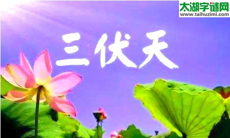 六月天，入三伏，掉雨点，收衣服=猜三个数字？