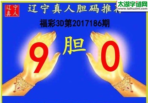 辽宁真人胆码图17186期