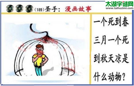 黑圣手漫画故事图谜第17189期