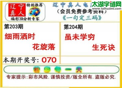 辽宁真人一句定三码-2017204期