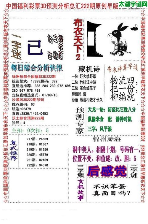 3d早版布衣天下图谜2017222期
