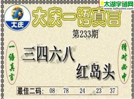 大庆一语真言-2017233期