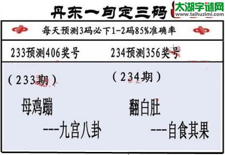 3d第2017234期丹东一句定三码