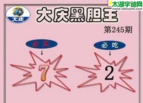 大庆黑胆王图17245期