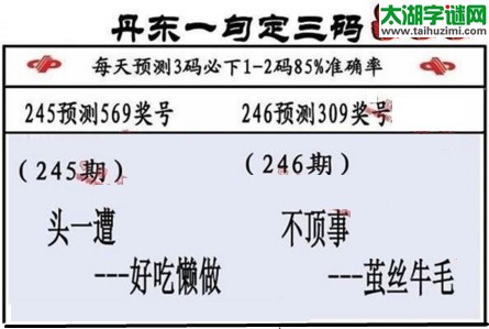 3d第2017246期丹东一句定三码