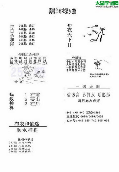 3d布衣天下图谜2017246期