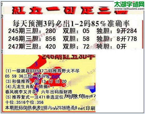 3d红五图库玄机图第2017247期