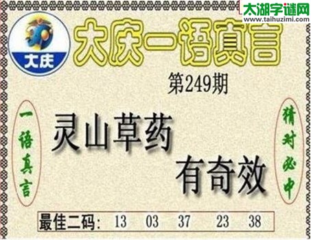 大庆黑胆王图17249期