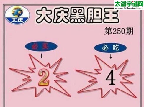 大庆黑胆王图17250期