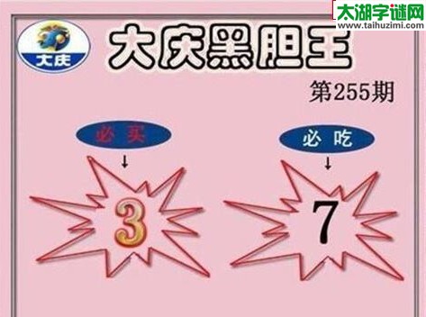 大庆黑胆王图17255期